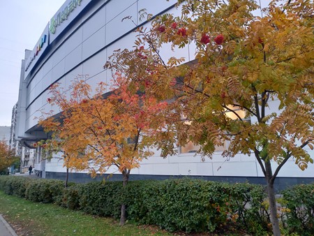 450x338 87 KB. Big one: 4032x3024 5235 KB 450x338 87 KB. Big one: 4032x3024 5235 KB