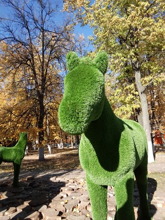 338x450 100 KB. Big one: 3264x2448 4216 KB 338x450 100 KB. Big one: 3264x2448 4216 KB