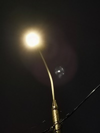 200x266 13 KB. Big one: 2736x3648 1304 KB 200x266 13 KB. Big one: 2736x3648 1304 KB