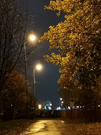 200x266 36 KB. Big one: 2736x3648 2523 KB 200x266 36 KB. Big one: 2736x3648 2523 KB