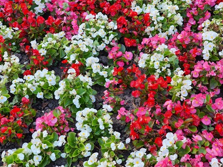 450x338 158 KB. Big one: 4032x3024 4114 KB 450x338 158 KB. Big one: 4032x3024 4114 KB