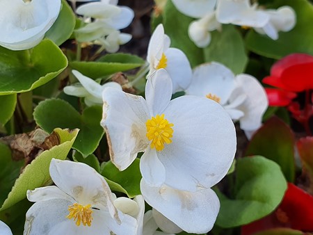 450x338 91 KB. Big one: 4032x3024 2217 KB 450x338 91 KB. Big one: 4032x3024 2217 KB