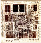 286-й под микроскопом