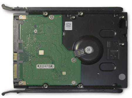 450x335  25Kb, zoomed: 1200x893  124Kb