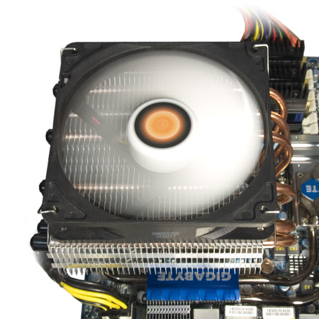 450x450  44Kb, zoomed: 1200x1200  174Kb