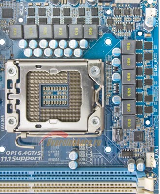 330x400  47 KB. Big one: 825x1000  244 KB