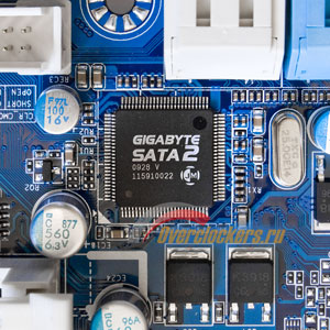 300x300  41 KB. Big one: 800x800  219 KB