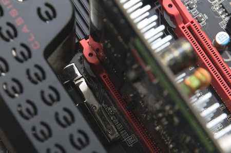 450x299  156 KB. Big one: 1200x797  275 KB