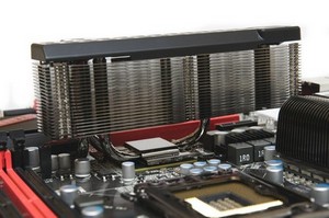 450x299  192 KB. Big one: 1200x797  341 KB