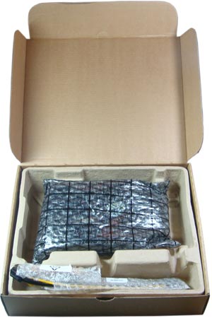 300x450  22 KB. Big one: 800x1200  110 KB