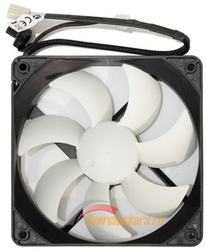 300x365  21 KB. Big one: 822x1000  100 KB