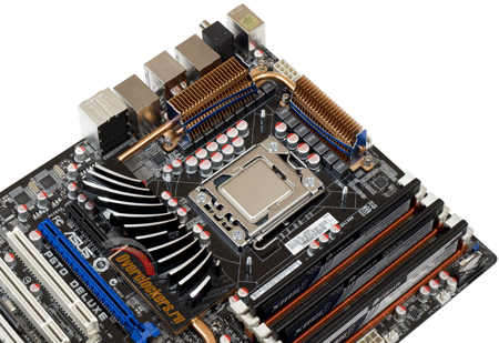 450x309  98 KB. Big one: 1000x687  426 KB