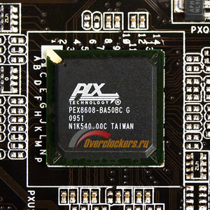 300x300  42 KB. Big one: 600x600  136 KB