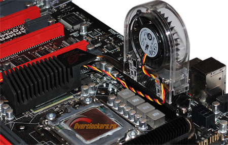 450x287  48 KB. Big one: 900x573  183 KB