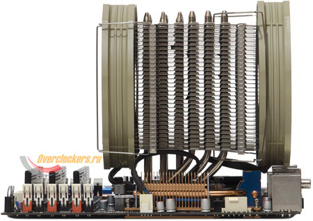 450x319  42 KB. Big one: 1500x1064  302 KB