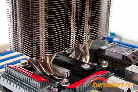 450x300  25 KB. Big one: 1500x1000  198 KB