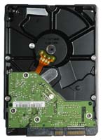 147x200 35 KB. Big one: 736x1000 138 KB 147x200 35 KB. Big one: 736x1000 138 KB