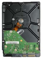 146x200 34 KB. Big one: 729x1000 141 KB 146x200 34 KB. Big one: 729x1000 141 KB