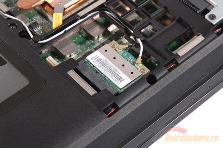 450x299  56 KB. Big one: 1600x1063  493 KB