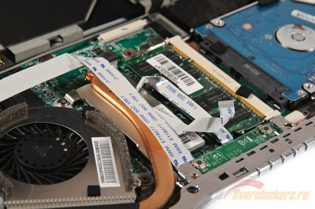 450x299  67 KB. Big one: 1600x1063  517 KB