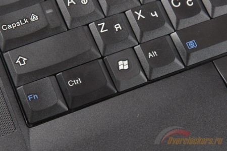 450x299  50 KB. Big one: 1600x1063  620 KB