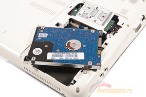 300x199  31 KB. Big one: 1600x1063  234 KB