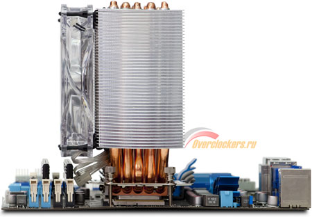 450x312  29 KB. Big one: 1500x1040  224 KB