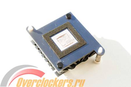 450x299  19 KB. Big one: 1500x1000  71 KB