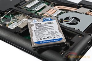 300x199  33 KB. Big one: 1600x1063  454 KB