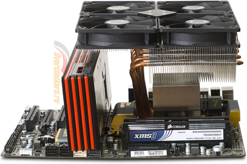 500x333  45 KB. Big one: 1500x1000  287 KB