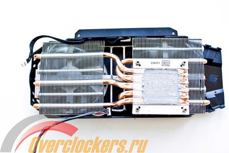 450x300  30 KB. Big one: 1500x1000  157 KB