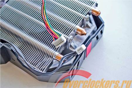 450x300  37 KB. Big one: 1500x1000  185 KB