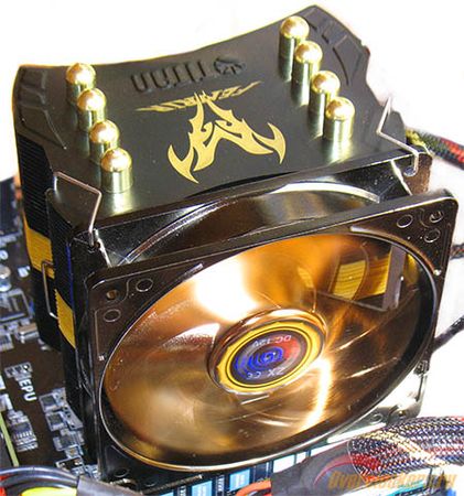 421x450  72 KB. Big one: 1402x1500  324 KB