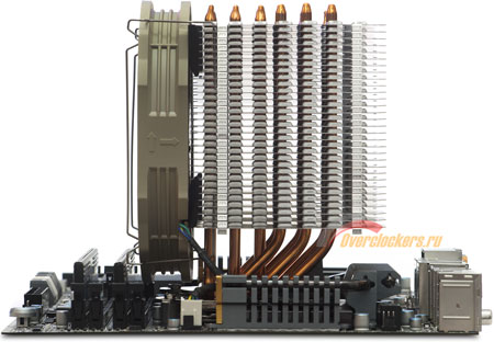 450x312  36 KB. Big one: 1500x1039  233 KB