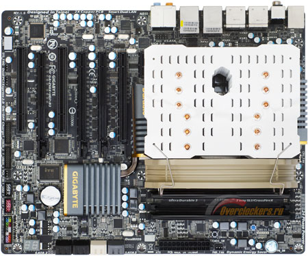 450x374  63 KB. Big one: 1500x1248  445 KB