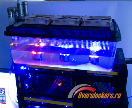 450x368  211 KB. Big one: 1500x1227  1790 KB