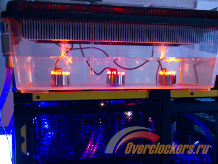 450x338  206 KB. Big one: 1500x1125  1575 KB