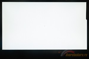 300x199  13 KB. Big one: 1600x1063  167 KB