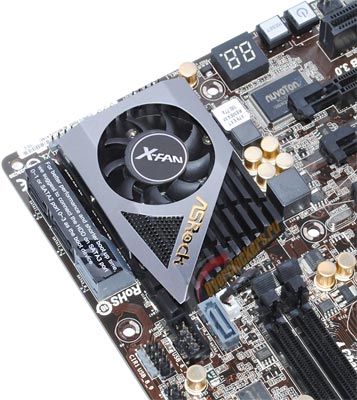 357x400  41 KB. Big one: 723x809  176 KB