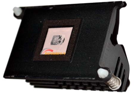 450x313  36 KB. Big one: 1500x1043  109 KB