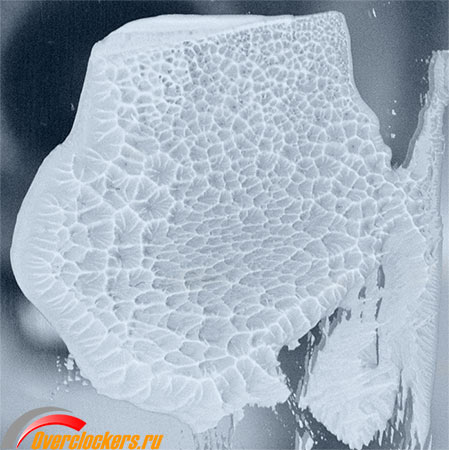 449x450  47 KB. Big one: 698x700  113 KB