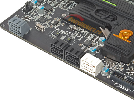 450x337  46 KB. Big one: 1000x748  177 KB