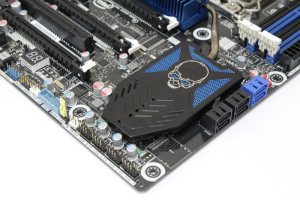 300x200  27 KB. Big one: 800x533  99 KB