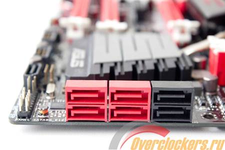 450x300  25 KB. Big one: 1500x1000  87 KB