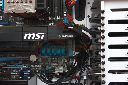 450x300  40 KB. Big one: 1500x1000  293 KB