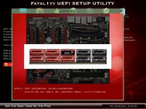 300x225  18 KB. Big one: 800x600  85 KB