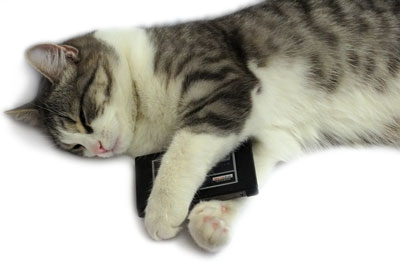 400x262  18 KB. Big one: 1103x723  123 KB