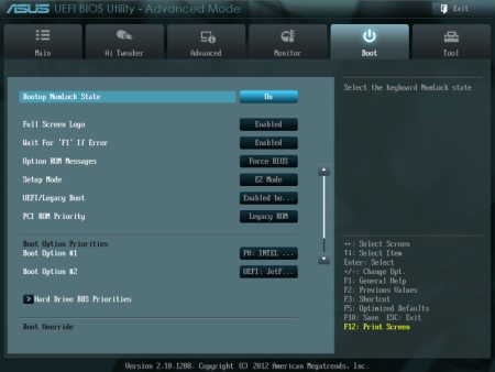 450x338  22 KB. Big one: 800x600  58 KB