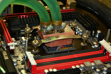 450x300  79 KB. Big one: 2000x1333  435 KB