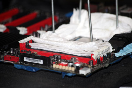 450x300  50 KB. Big one: 1500x1000  169 KB